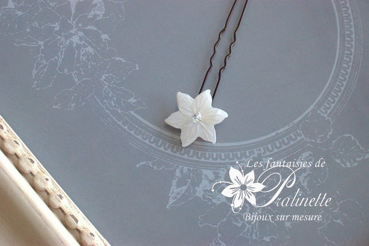 Pic fleur de nacre edelweiss Nayem