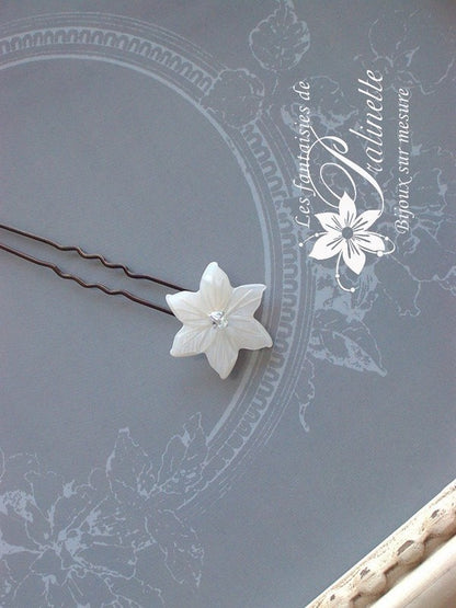 Pic fleur de nacre edelweiss Nayem